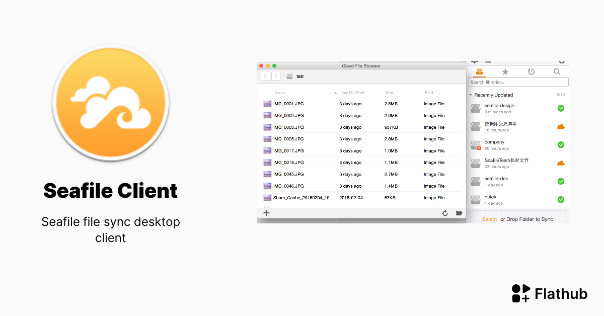 seafile pro 11.0安装踩坑记录